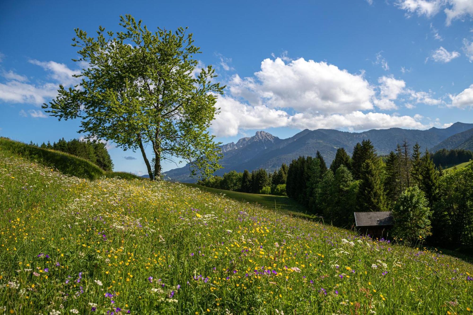 Hotel Krone Tirol Ройте Екстериор снимка